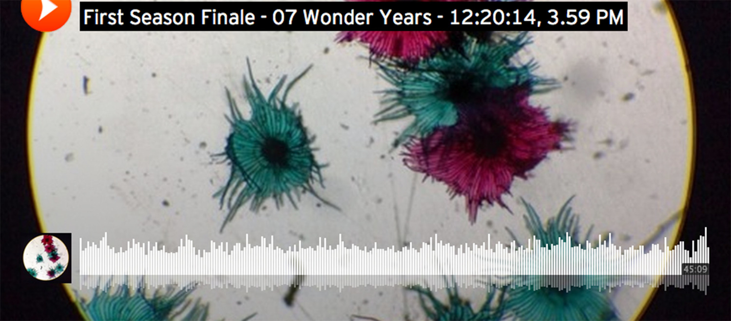 07 Wonder Years