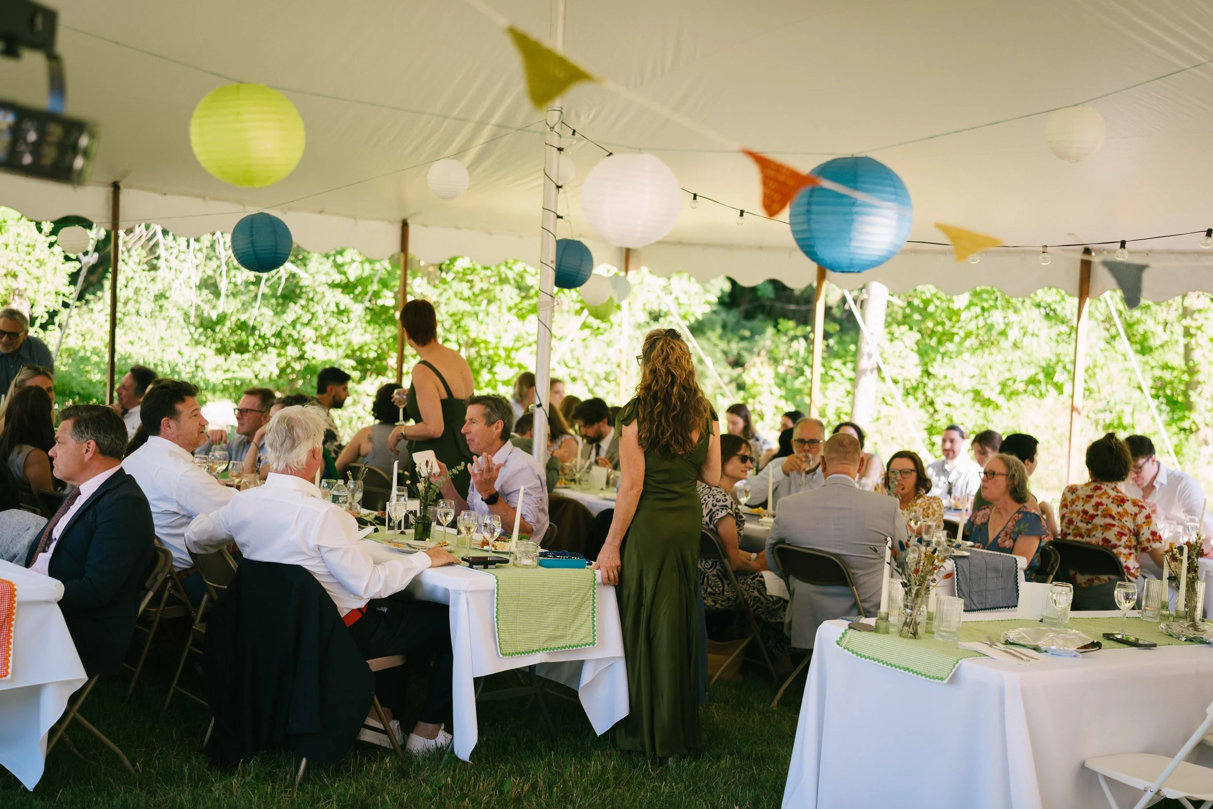 DSC01538.jpg