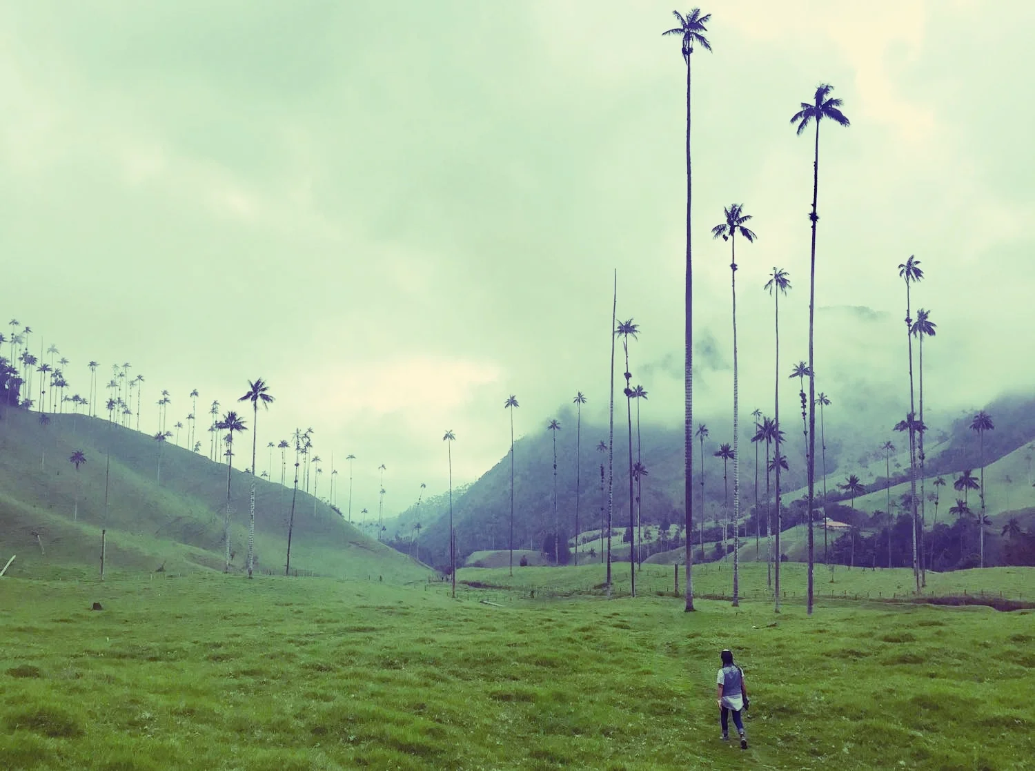 Exploring El Valle de Cocora