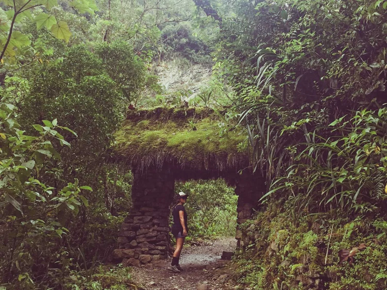 Into_the_heart_of_the_jungle_blog_087.jpg