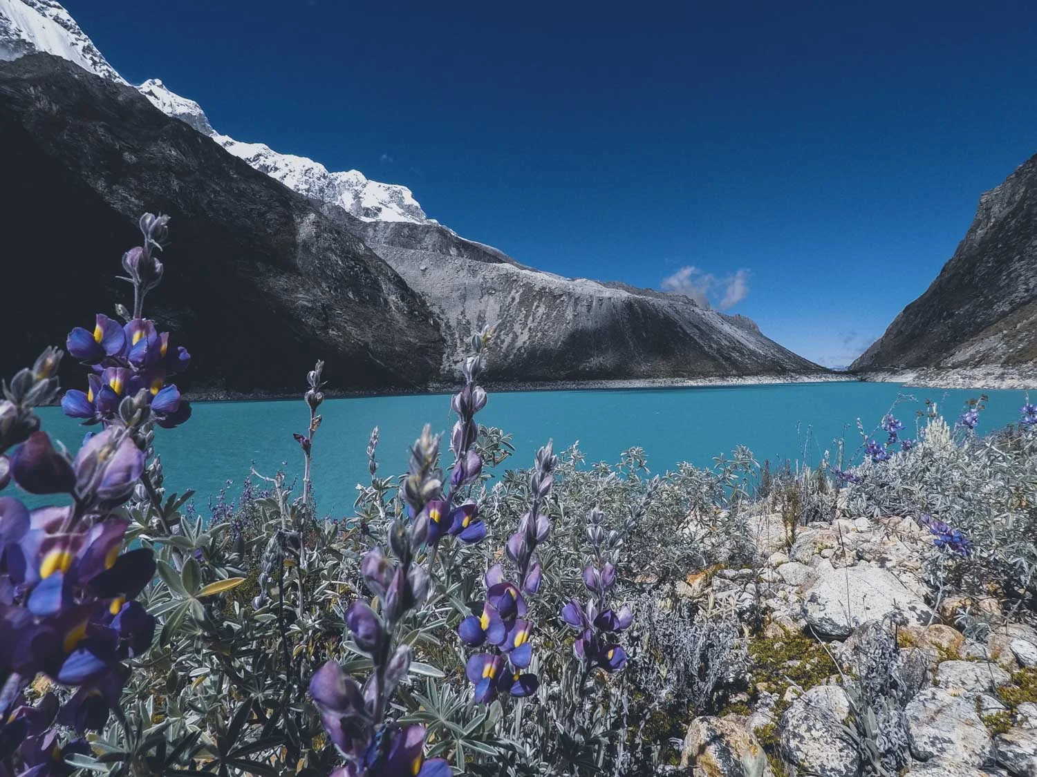 Parque Nacional Huascaran, hiking into the Andes