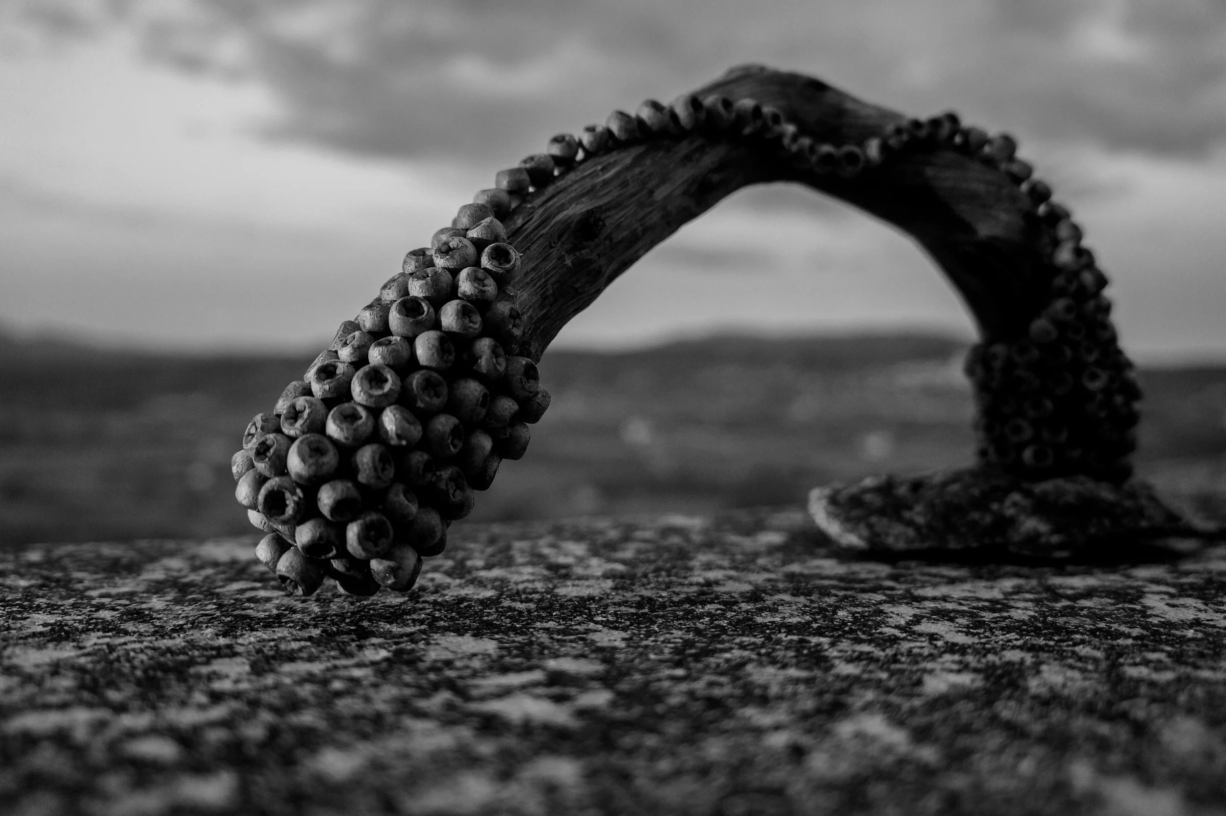 Grant Flinn