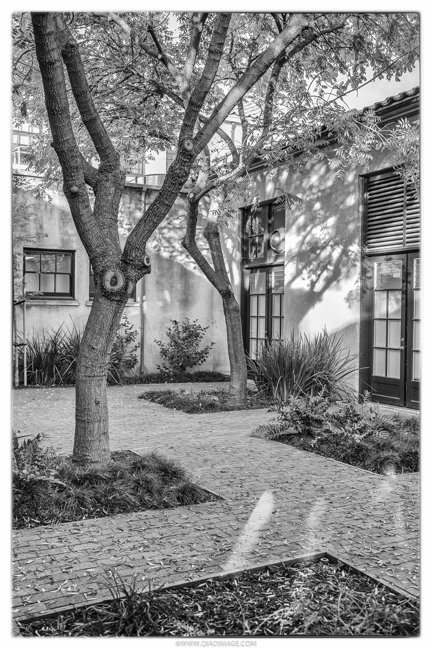 L1014085-85-Edit.jpg