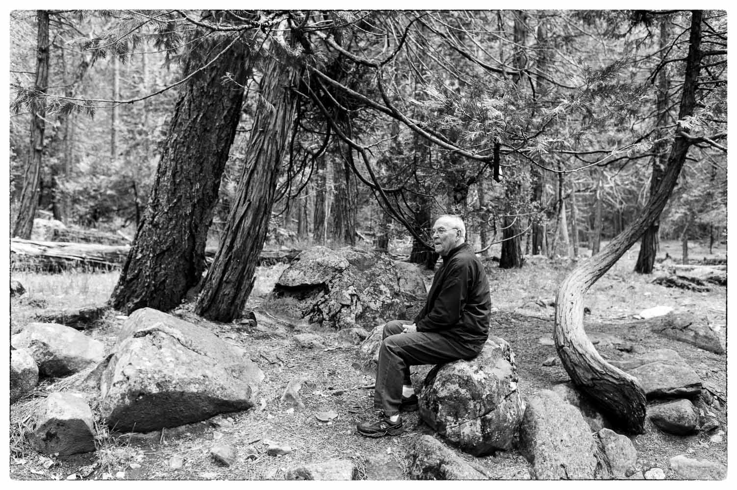 Old Man, Yosemite, 2014