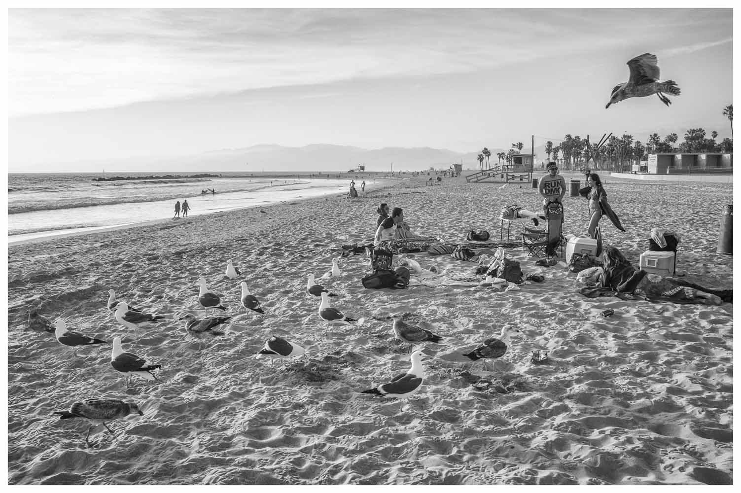 Venice Beach, LA, 2014