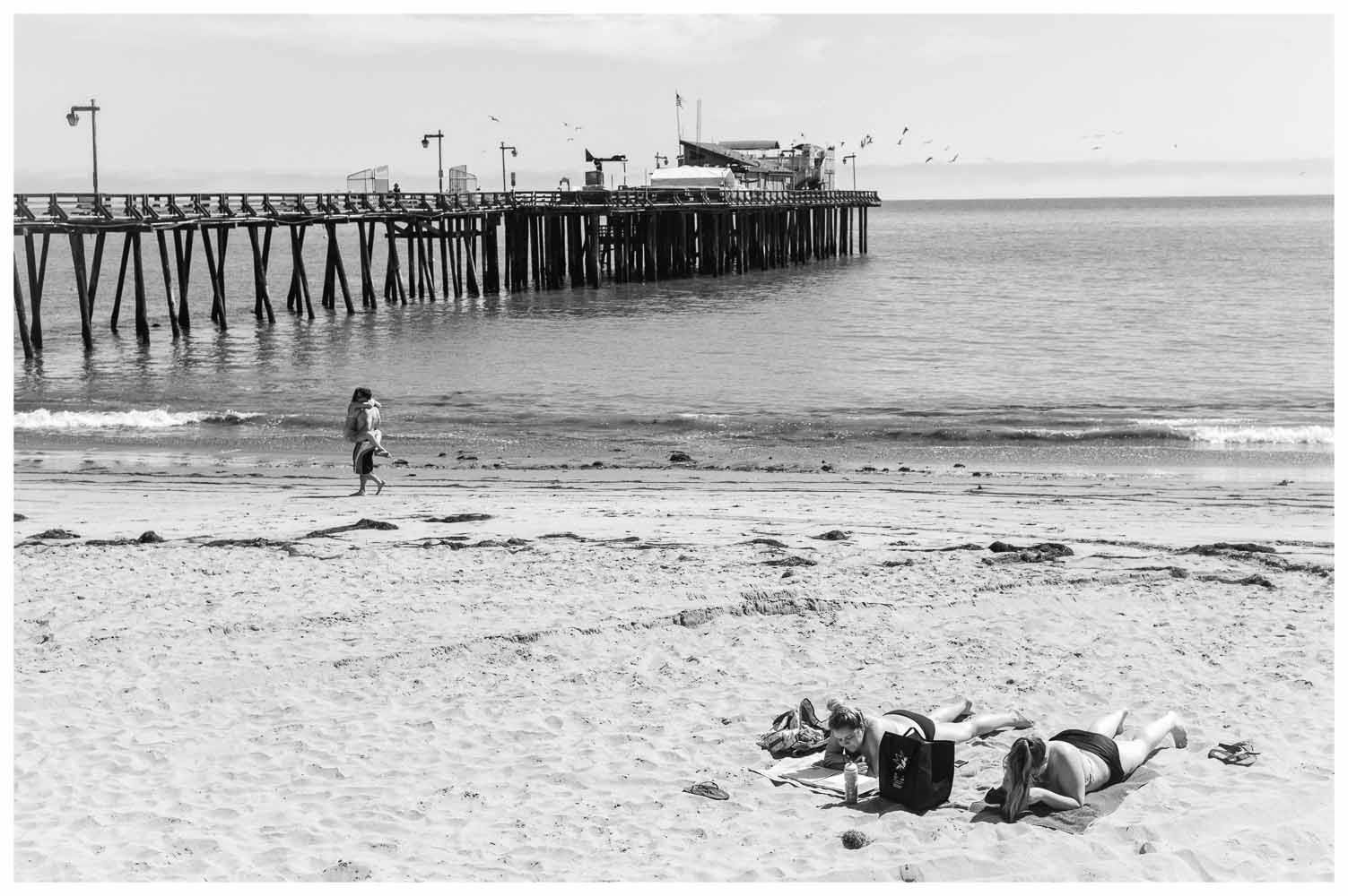 Capitola, 2014