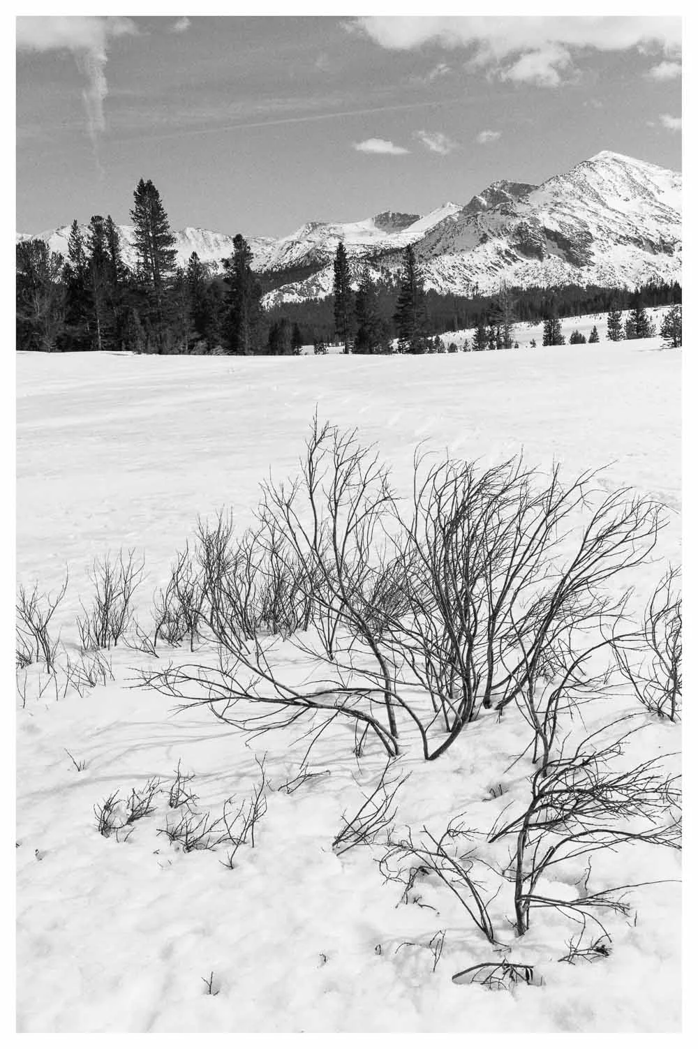 Tioga Pass, Yosemite, 2014