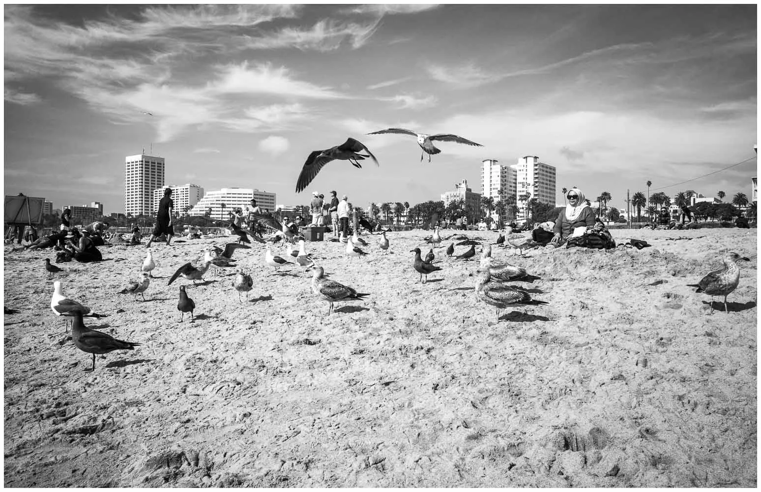 Santa Monica, 2014