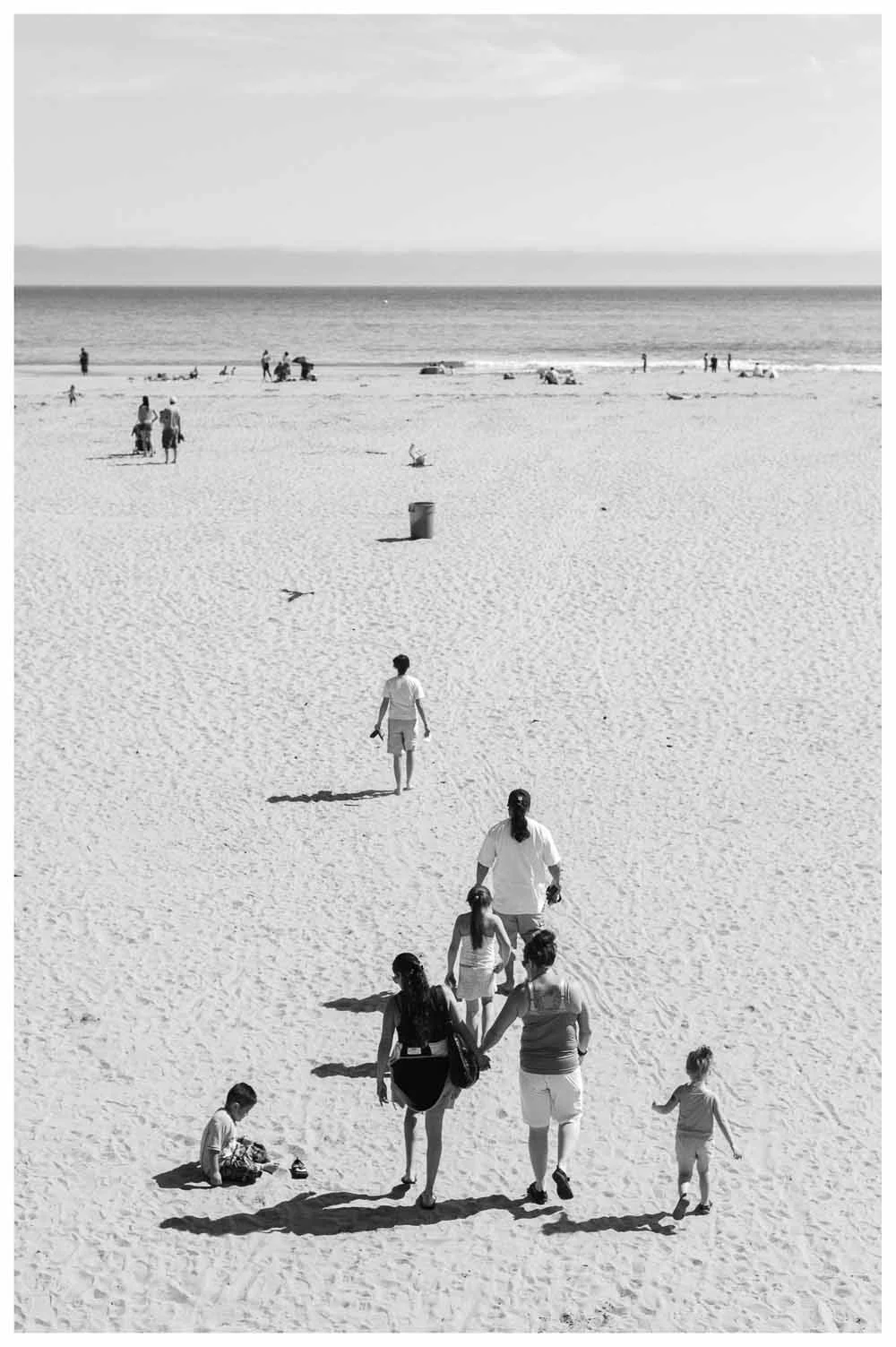Santa Cruz, 2014