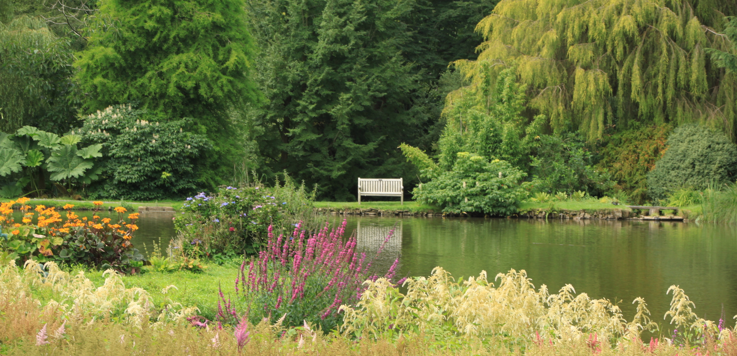 Marwood Hill Gardens, North Devon