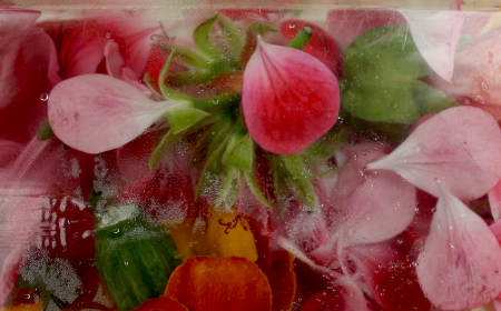 edible flowers