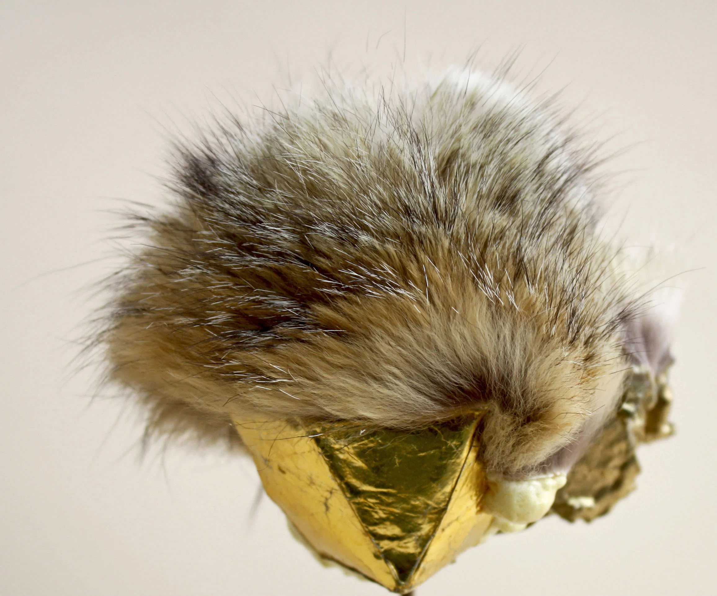 Object #2 Pre-Owned Fur, Paraffin Wax, Gold Powder, Great Stuff, Used Gold Wrapping Paper and Cardboard, Green Velvet and Used Wooden Framing, Brass and Bronze 18" x 9" x 9" 2012-13 Detail 