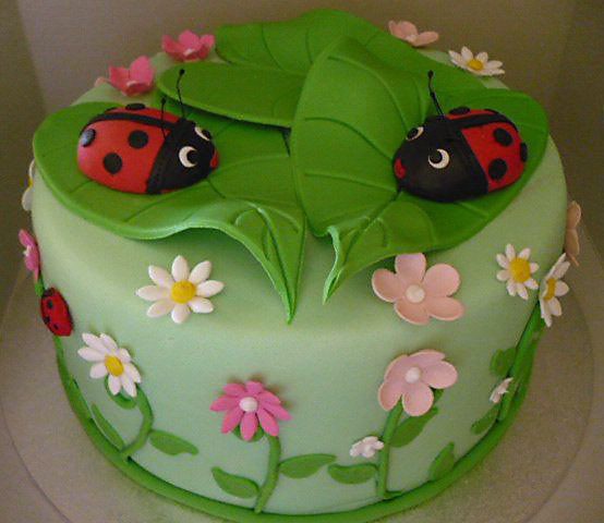 Lady-bug-cake.jpg