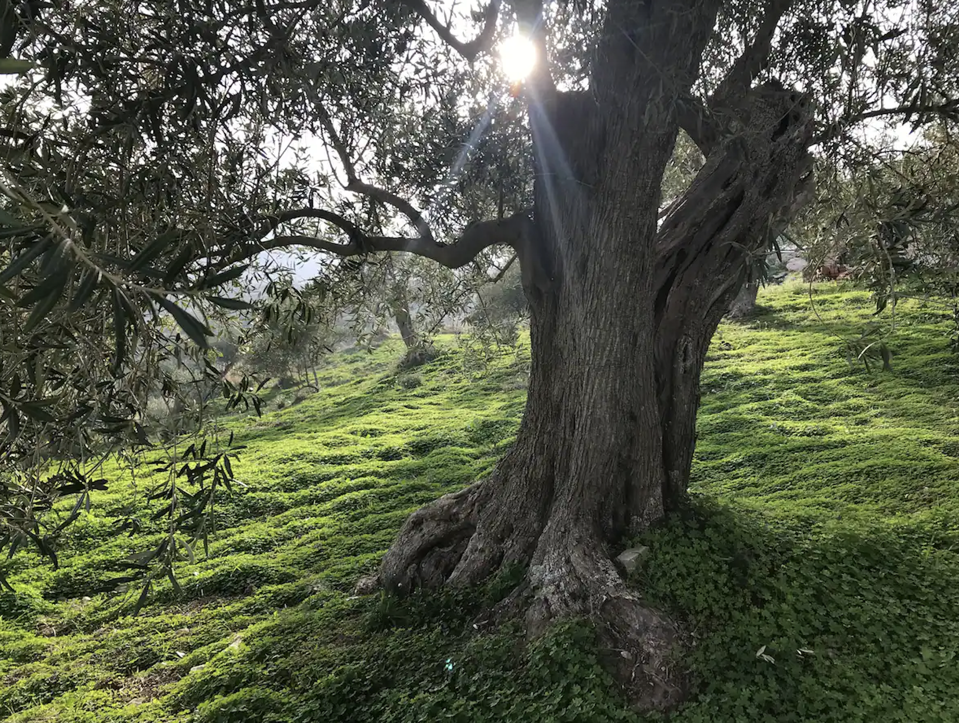 Screenshot 2022-03-27 at 11.17.46.png