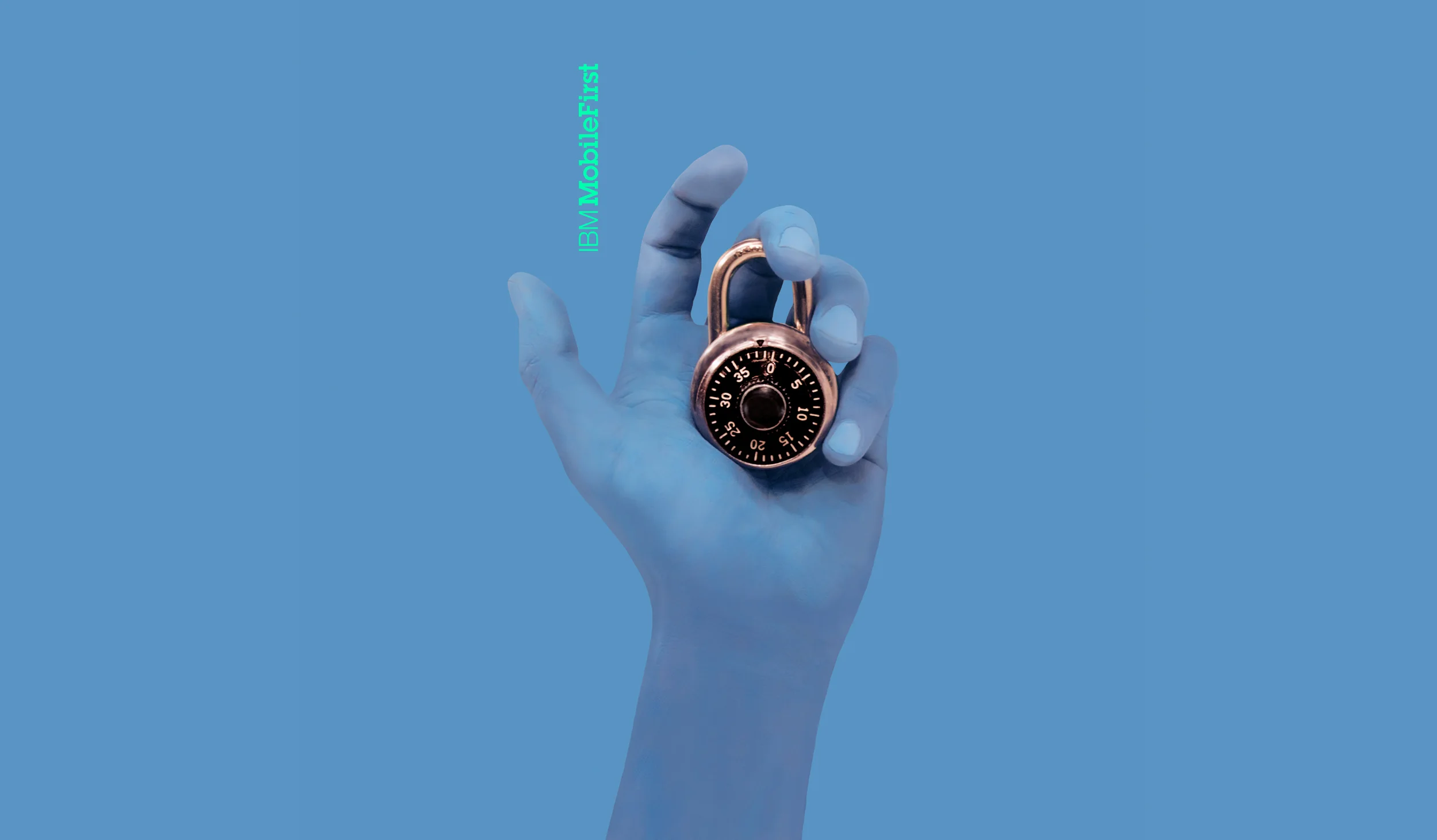IBM_Blue_Hand_port.jpg
