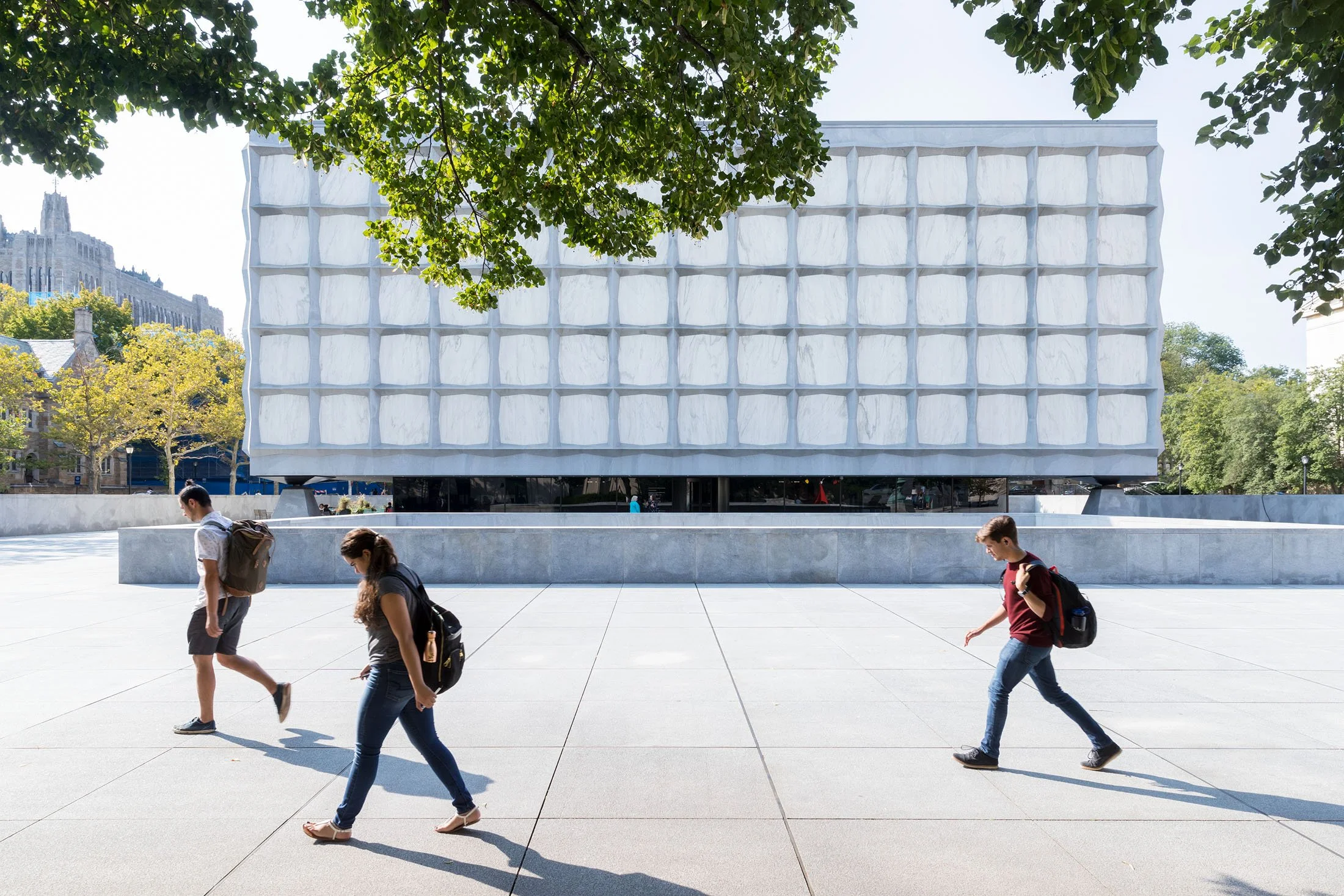 04Beinecke-SOM-5007.jpg