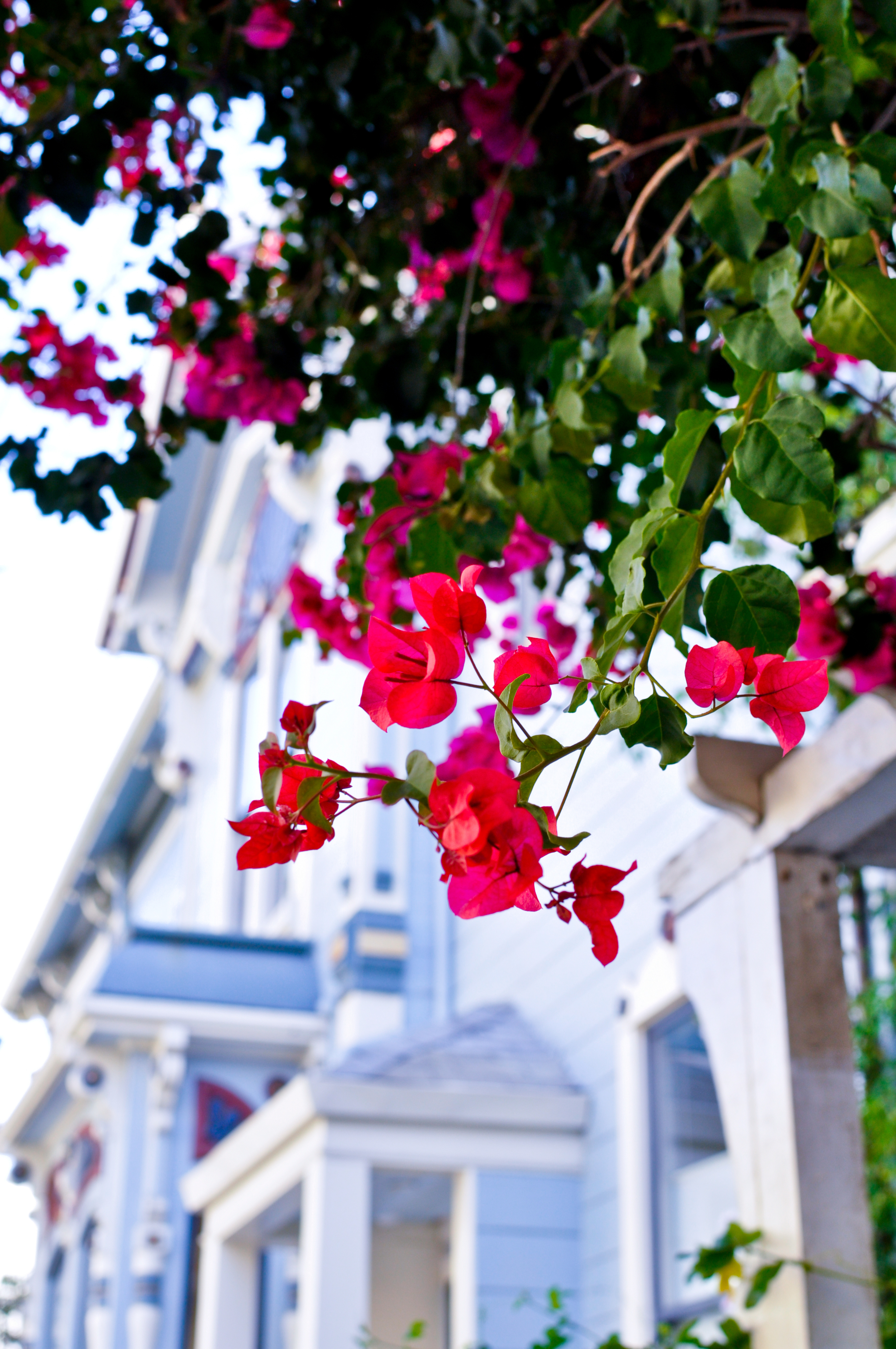 TRAVELPHOTOGRAPHY-15.jpg