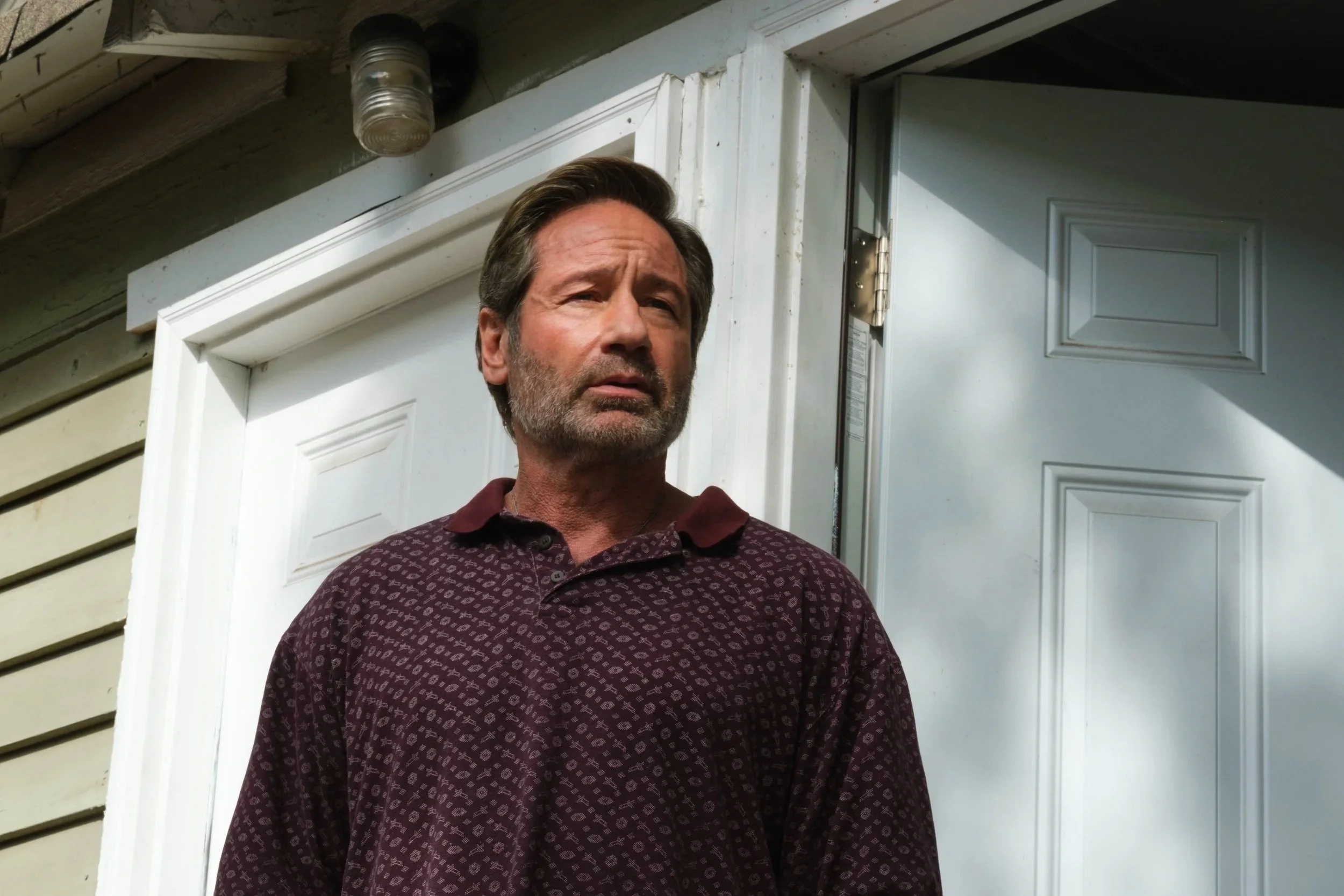 David Duchovny in "See You When I See You" 2026