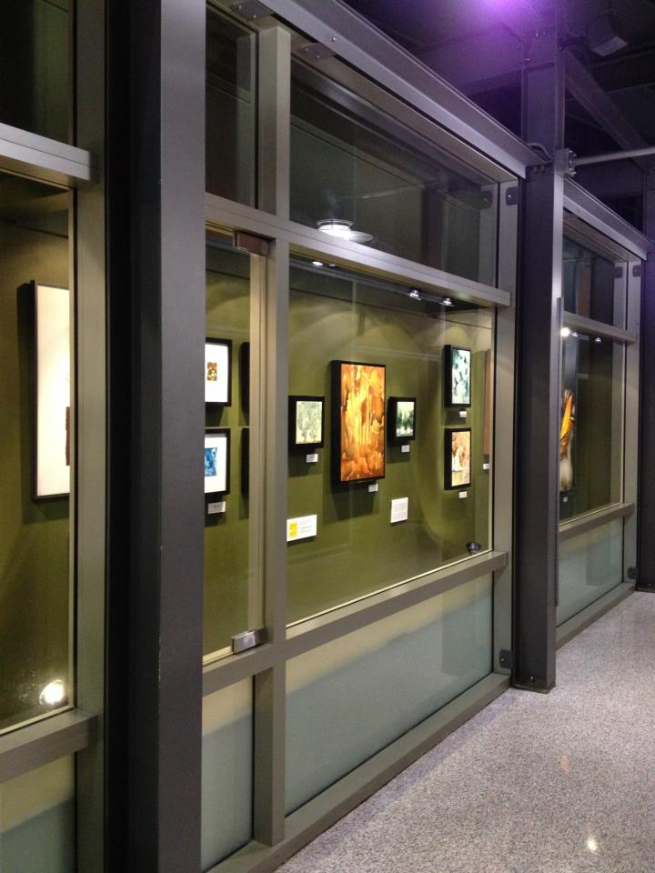 Austin-Bergstrom International Airport, Austin, TX, 2013. Sponsored by GenerousArt.org .