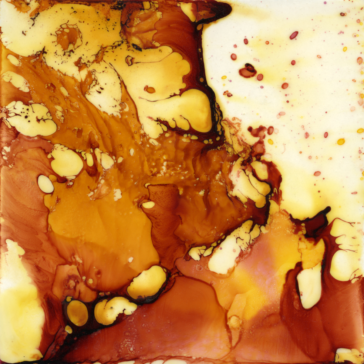 Sunburn , mixed media on Claybord, 3"x3", 2013.
