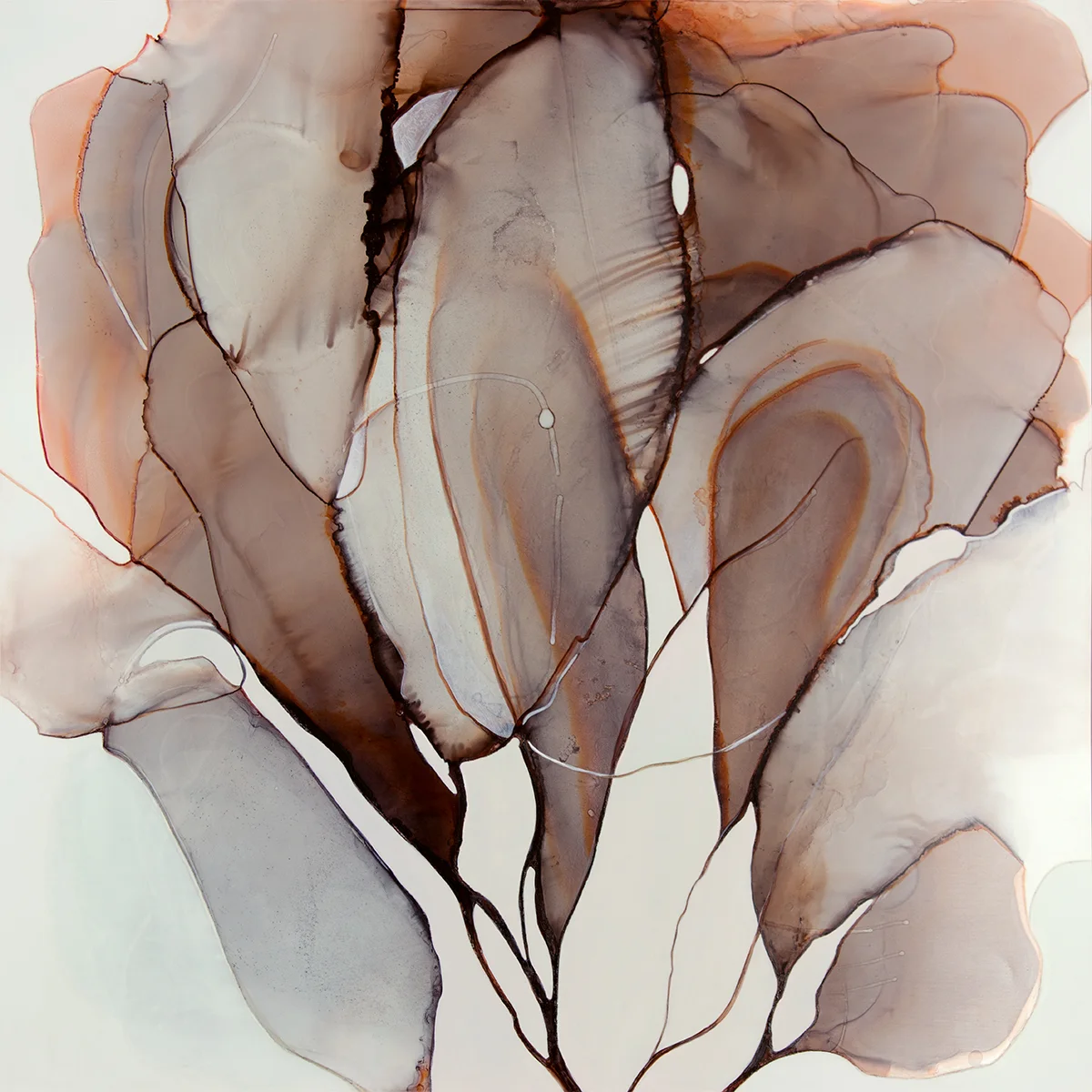 Suspended Animation