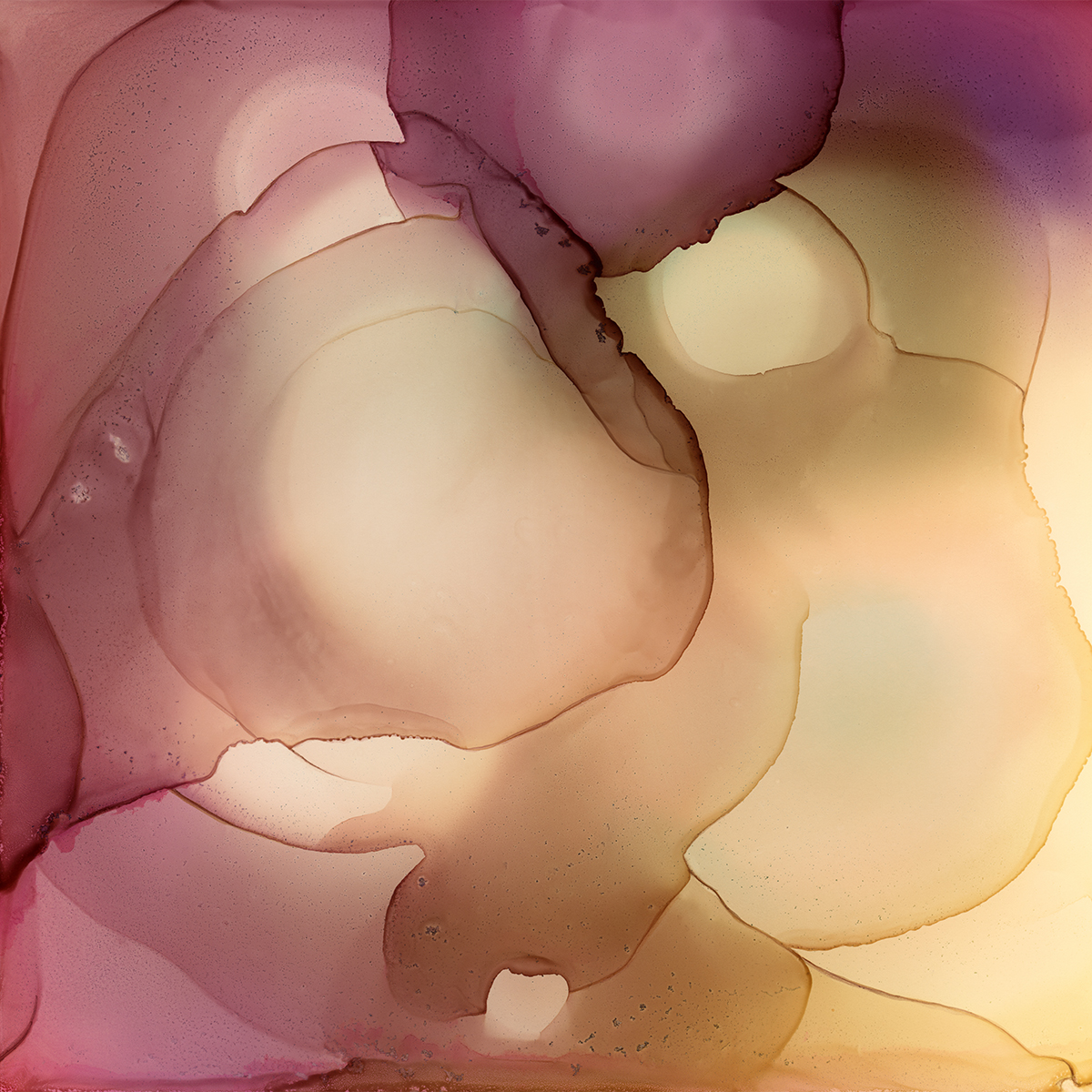 Oshibana (study)
