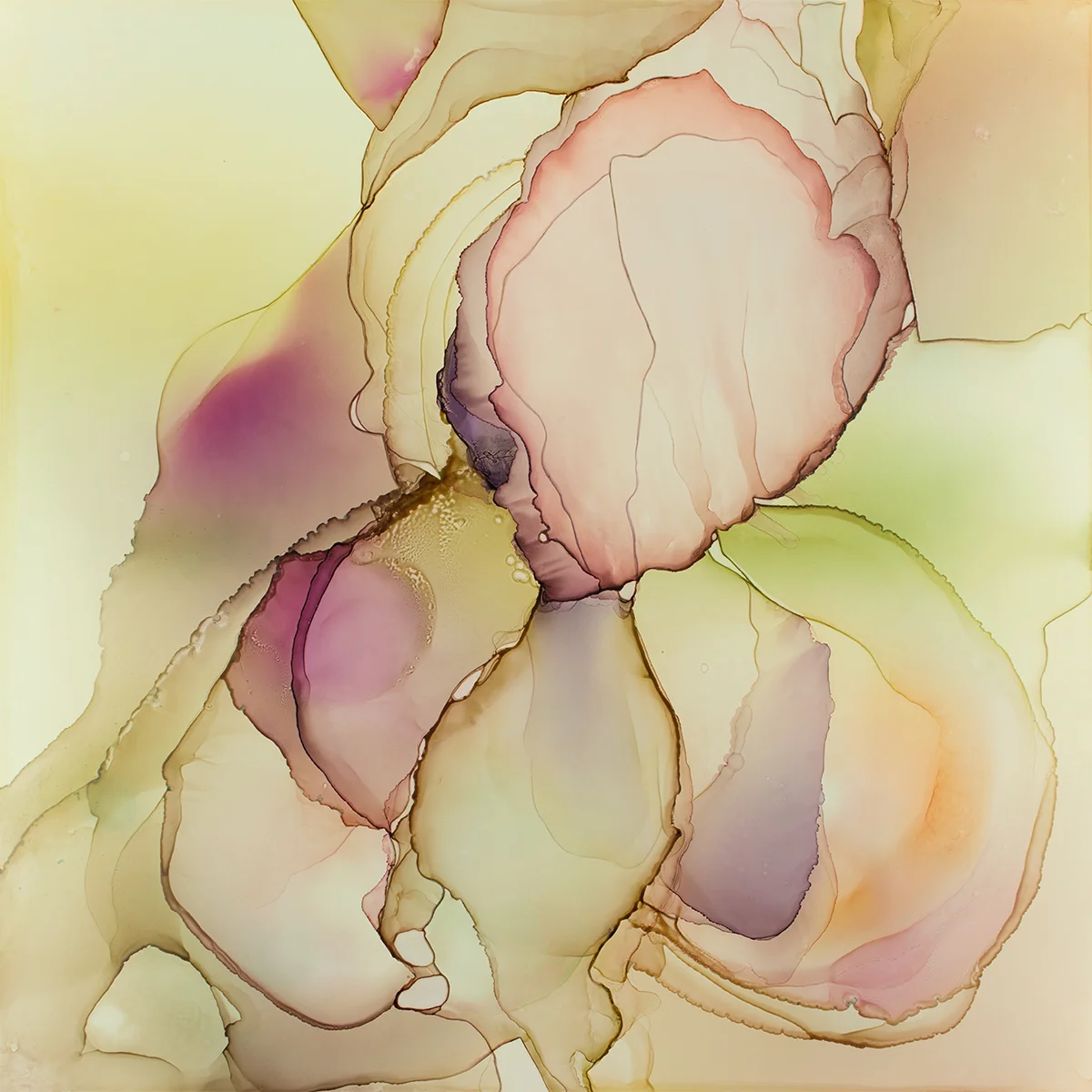 Oshibana
