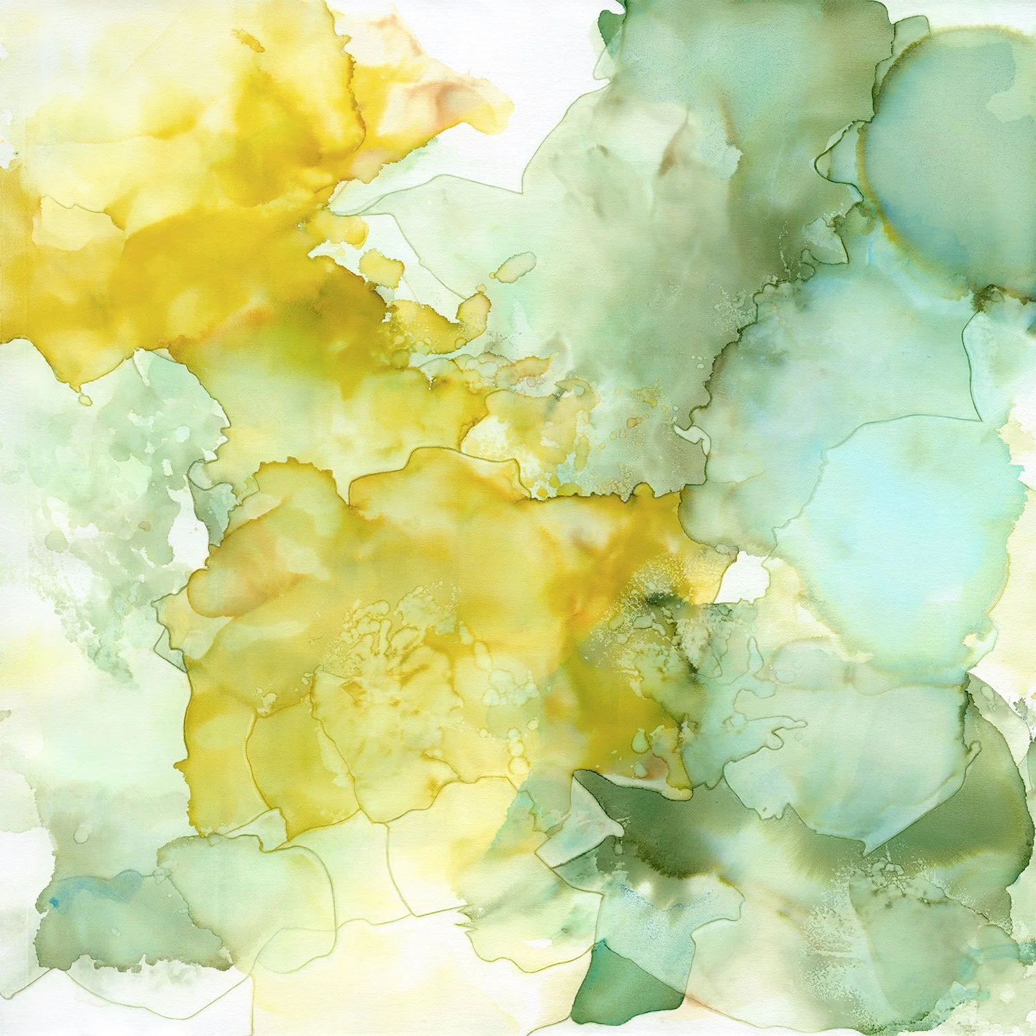 Shop original artwork by Austin artist — Andrea Pramuk