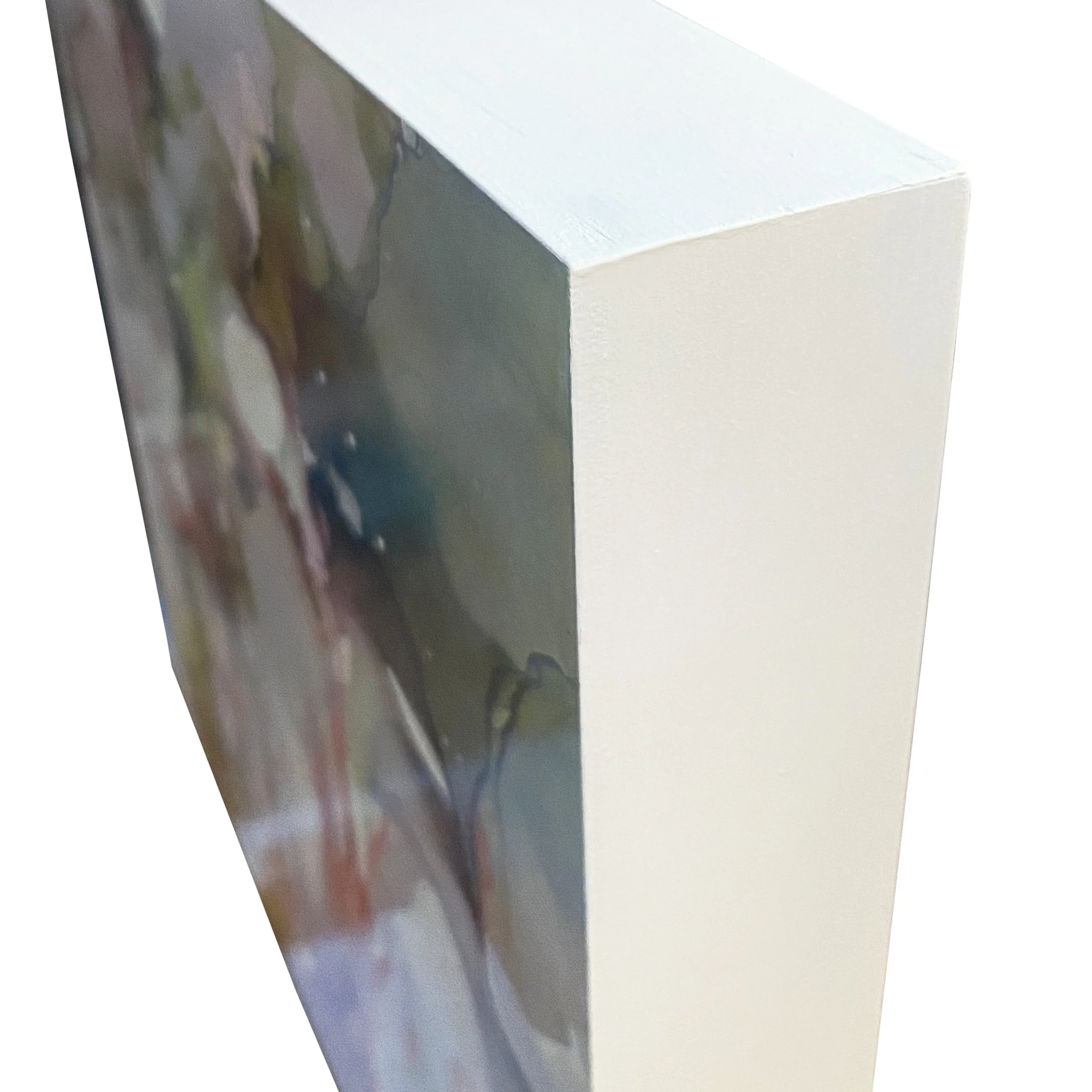 canopy_framed-corner.jpg