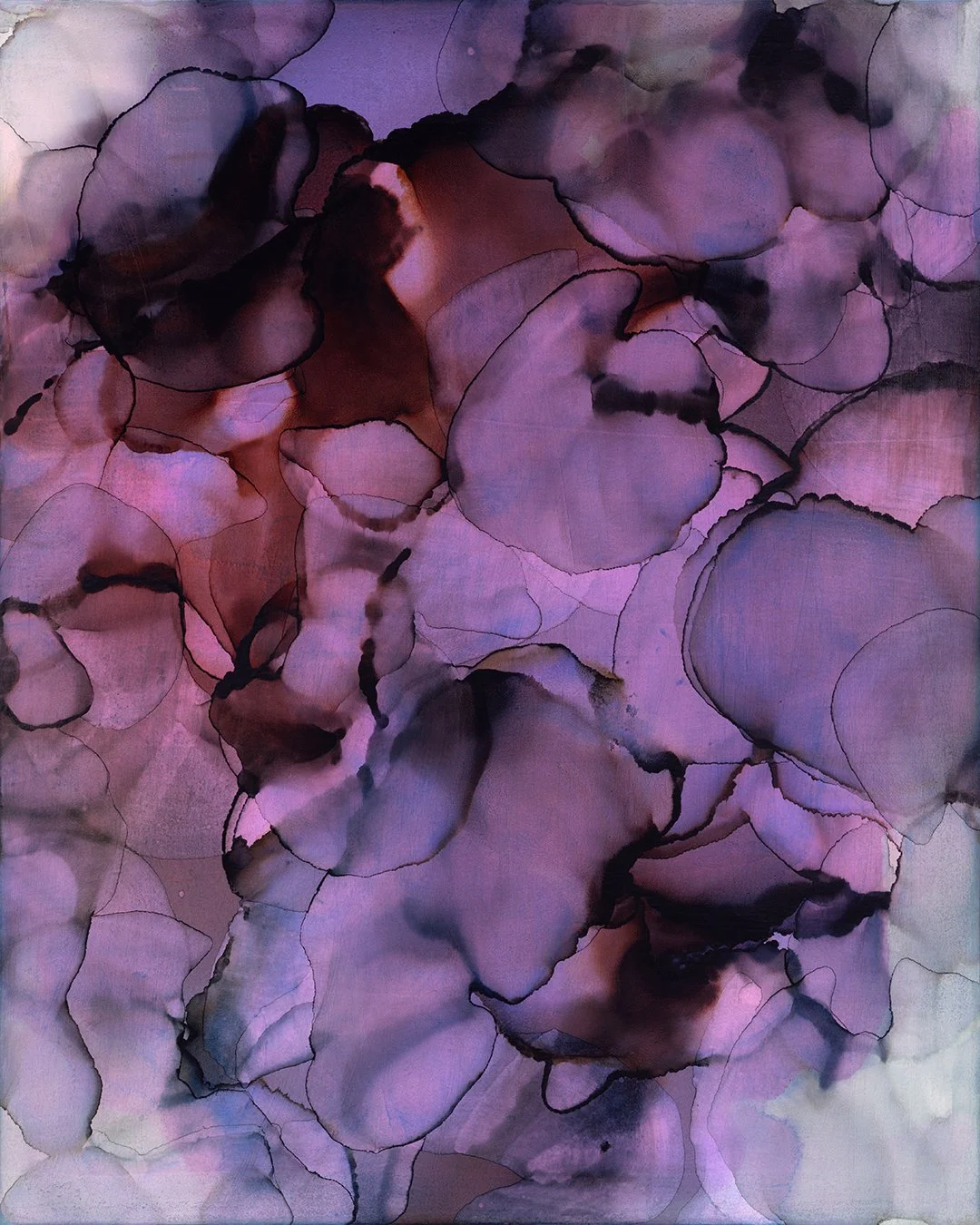 bloom_CS1-WEB.jpg