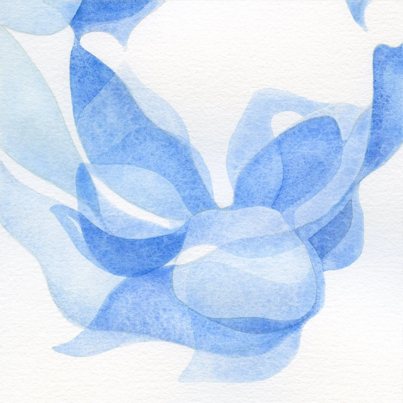 Blue Knot (Divine Allure)
