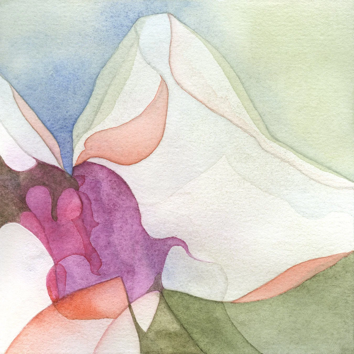Orchid 1 (Divine Allure)