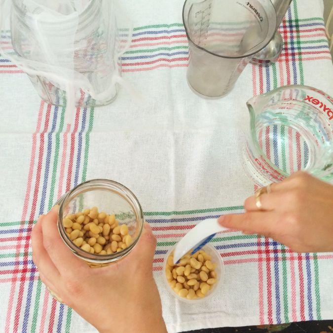 Cooked soybeans are ready to be blended with water. 