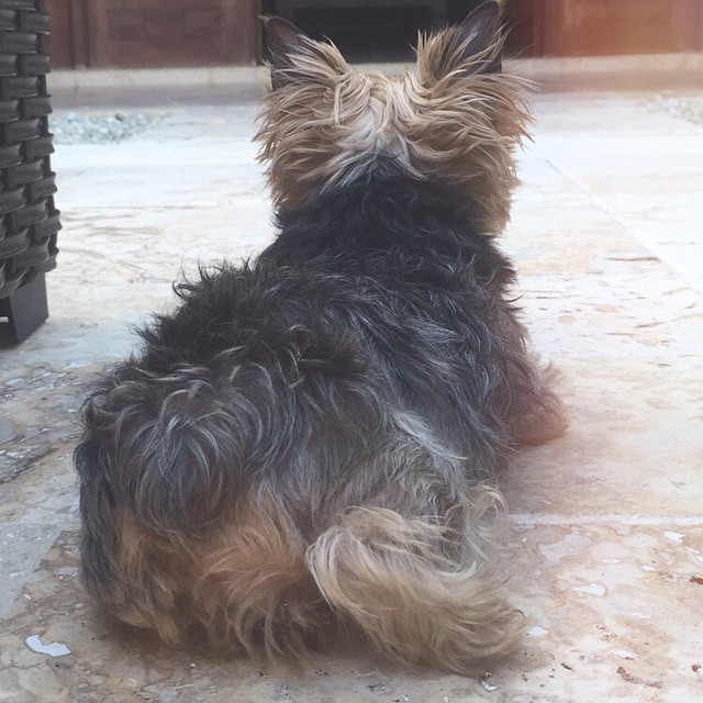 Coco loves the sun, too