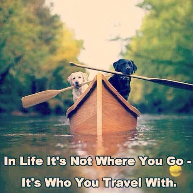 The Company You Keep