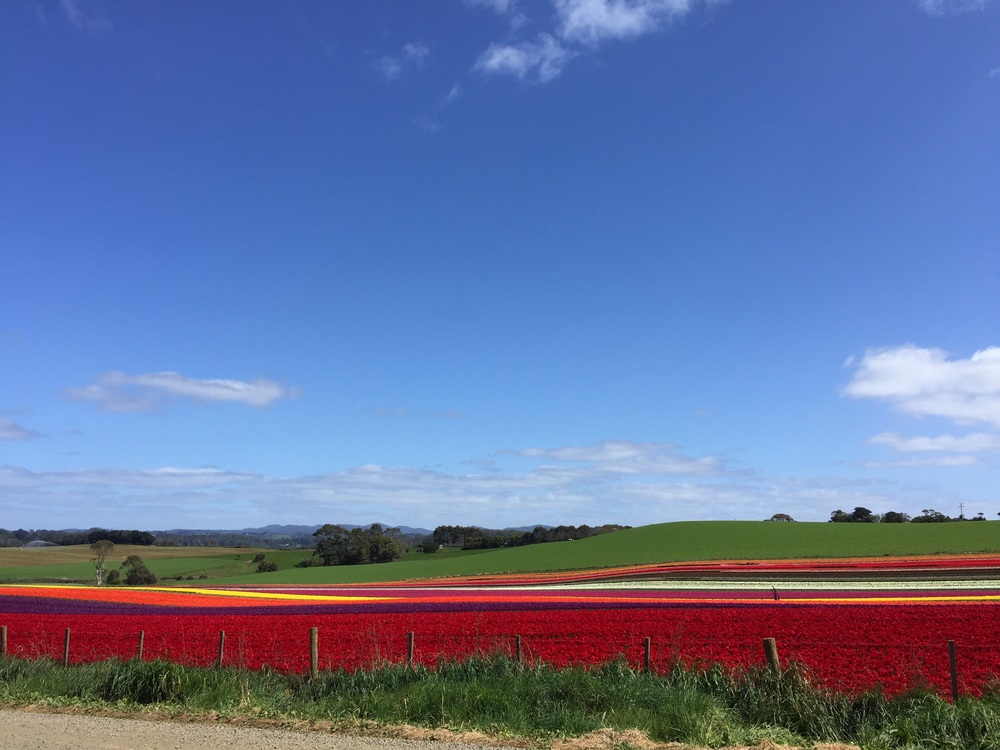 A little more stability please