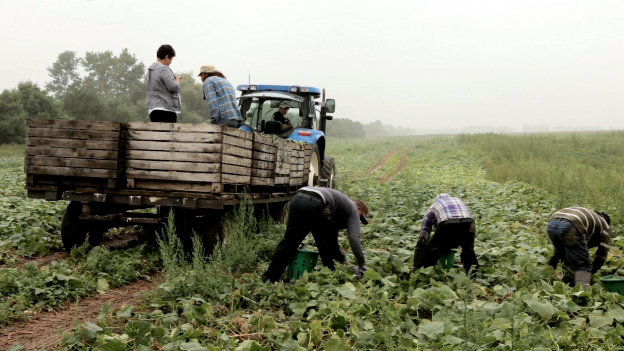 TORN APART: Families and US Immigration Reform - Alina Diaz