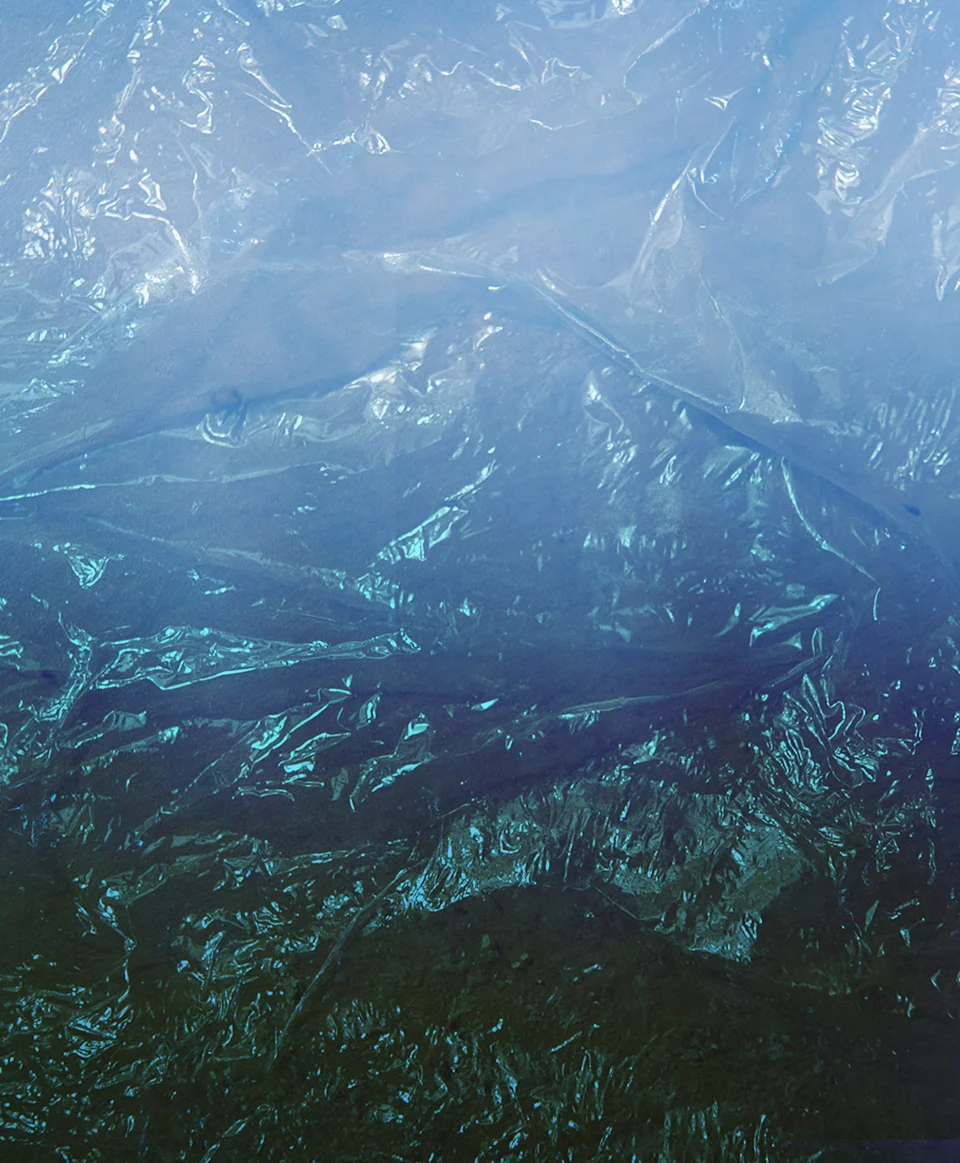 blue_image.jpg