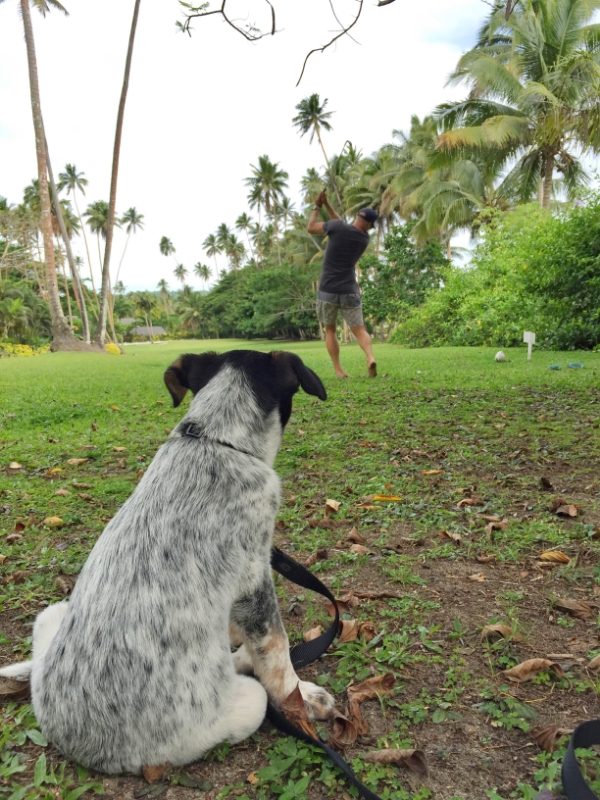watching Dad play golf