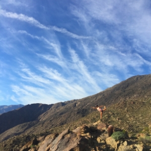 On the Skyline Trail