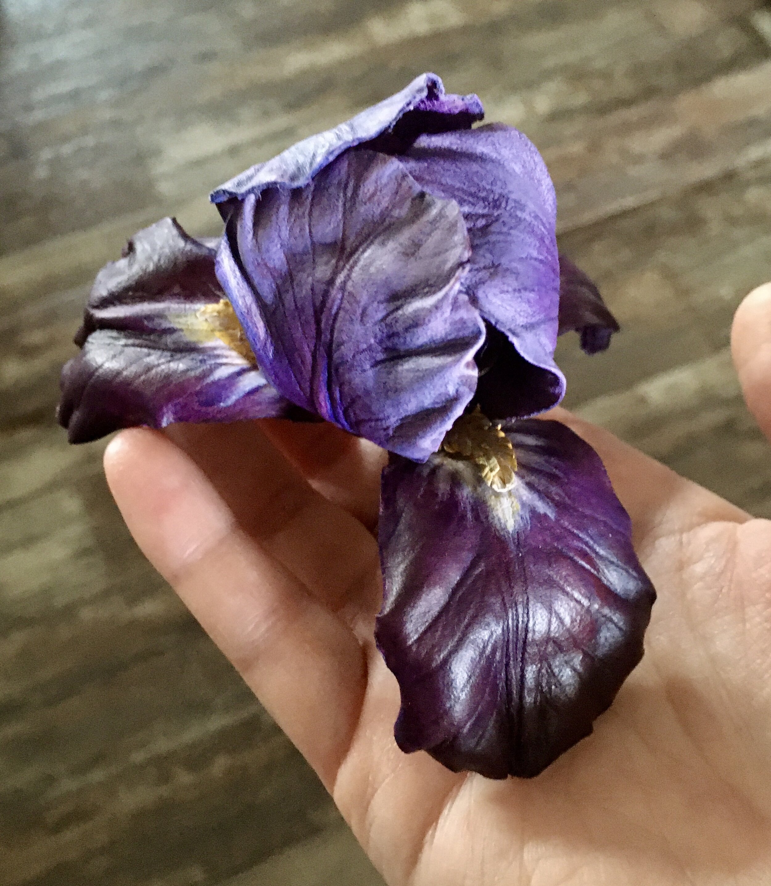 3-D Leather Iris (Online)