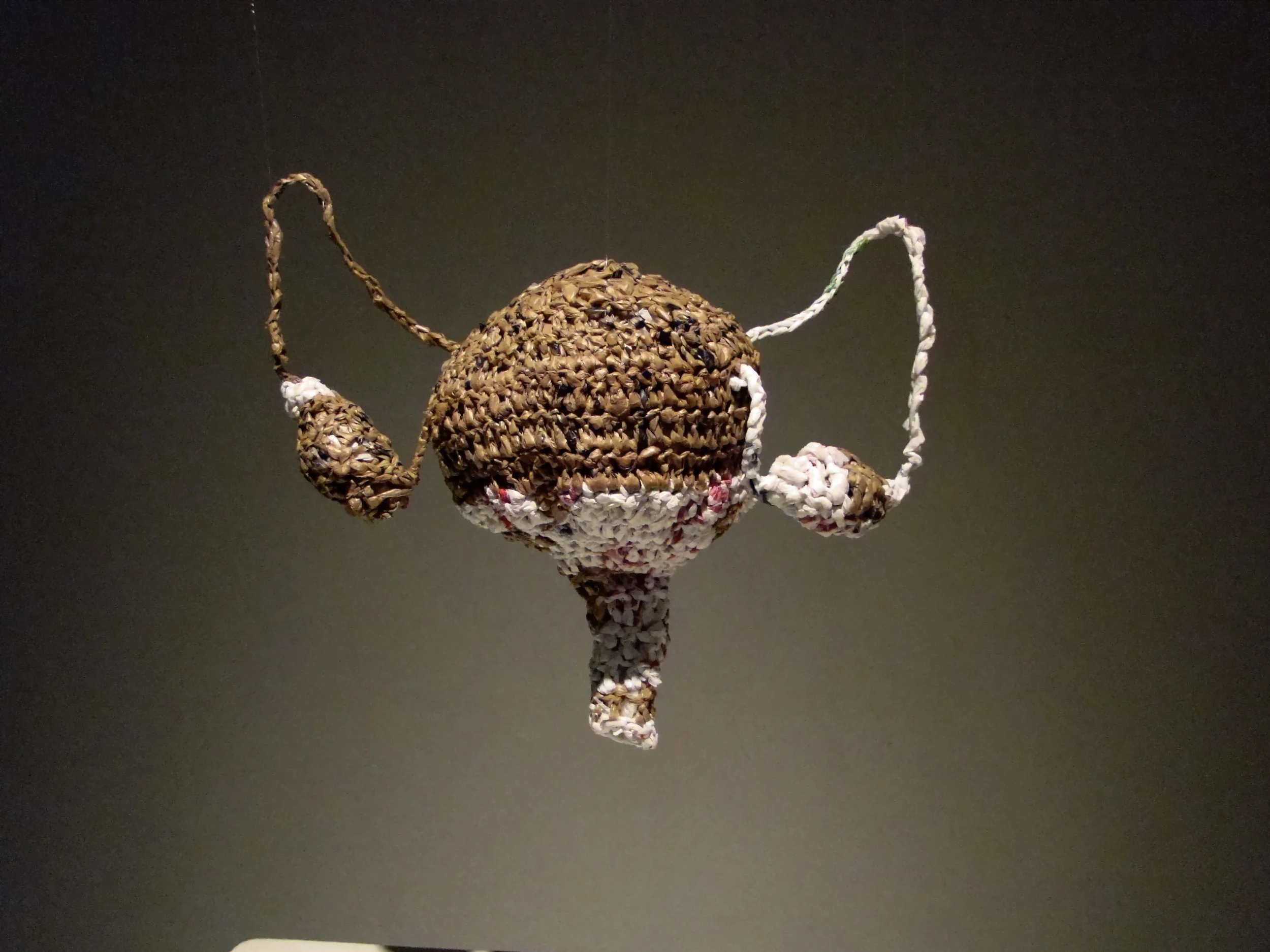DSC04236.JPG