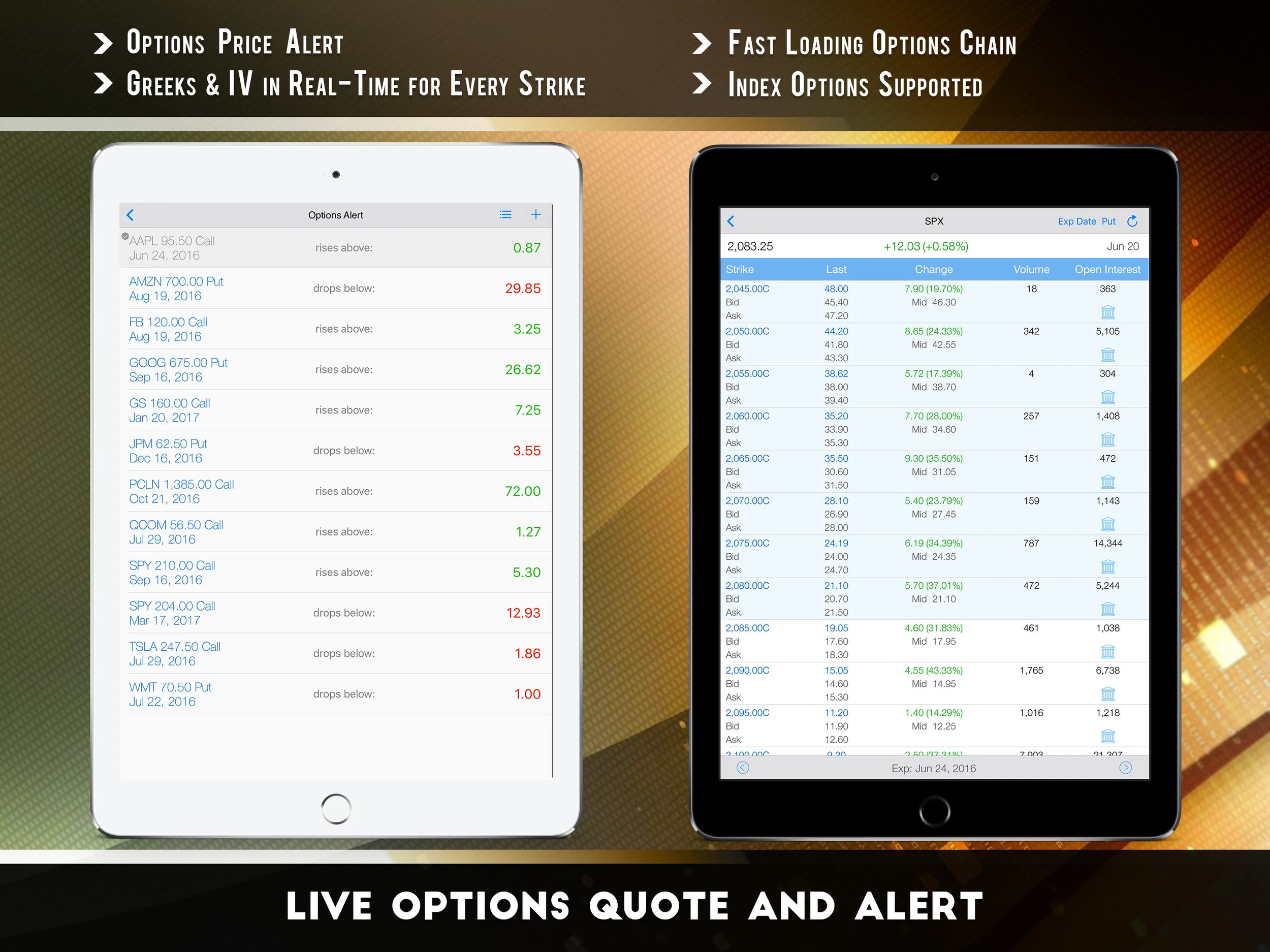 Live Options Quote and Alert