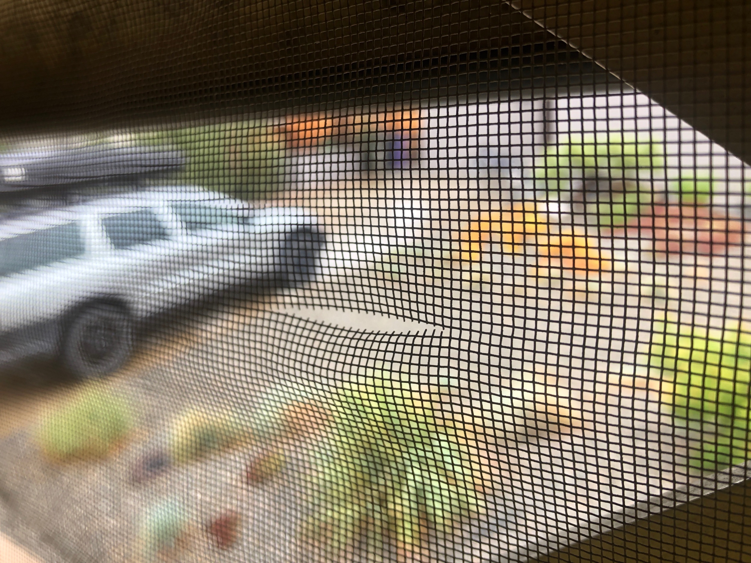 IMG_9405.jpeg
