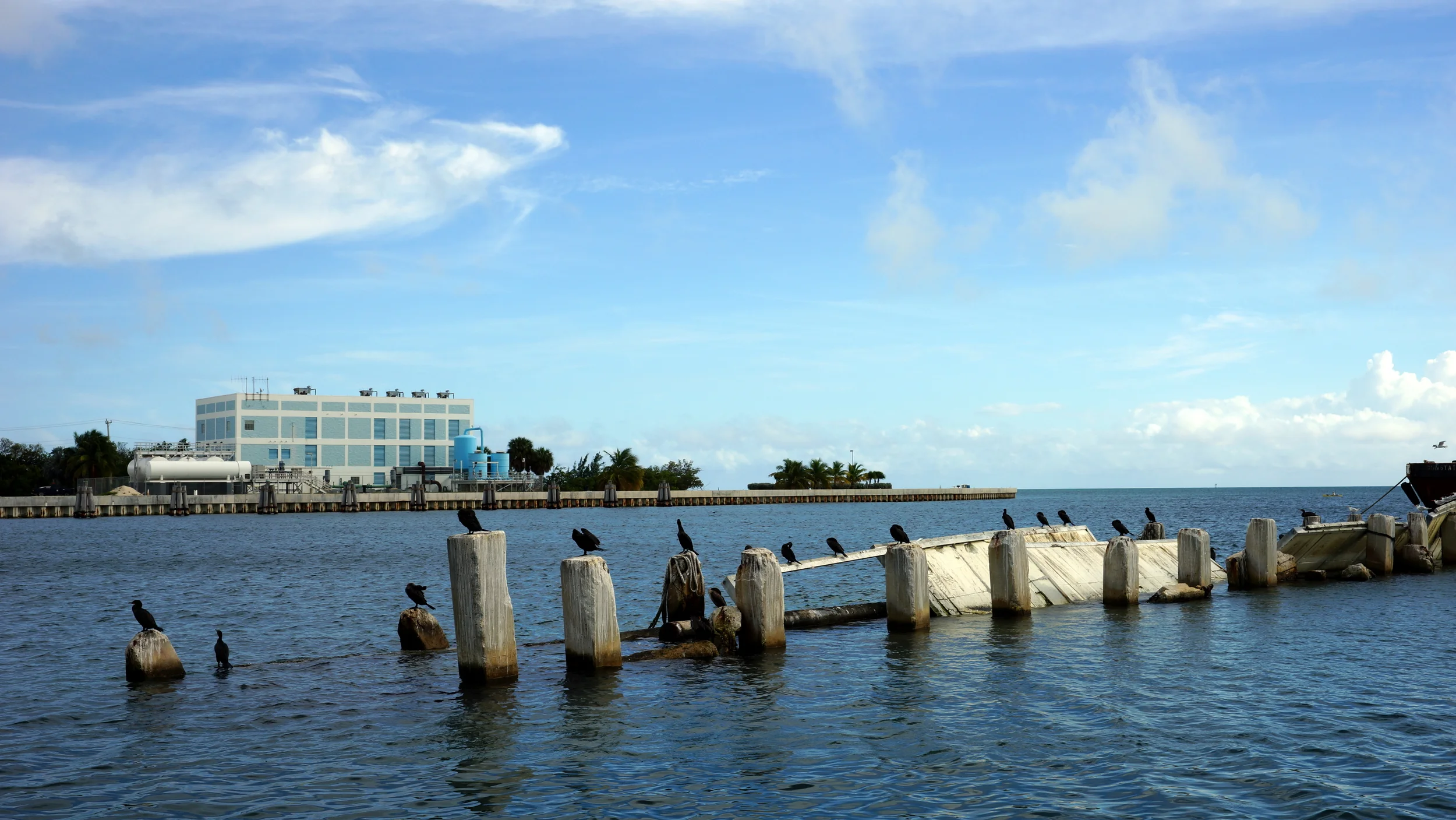 DSC00472.JPG