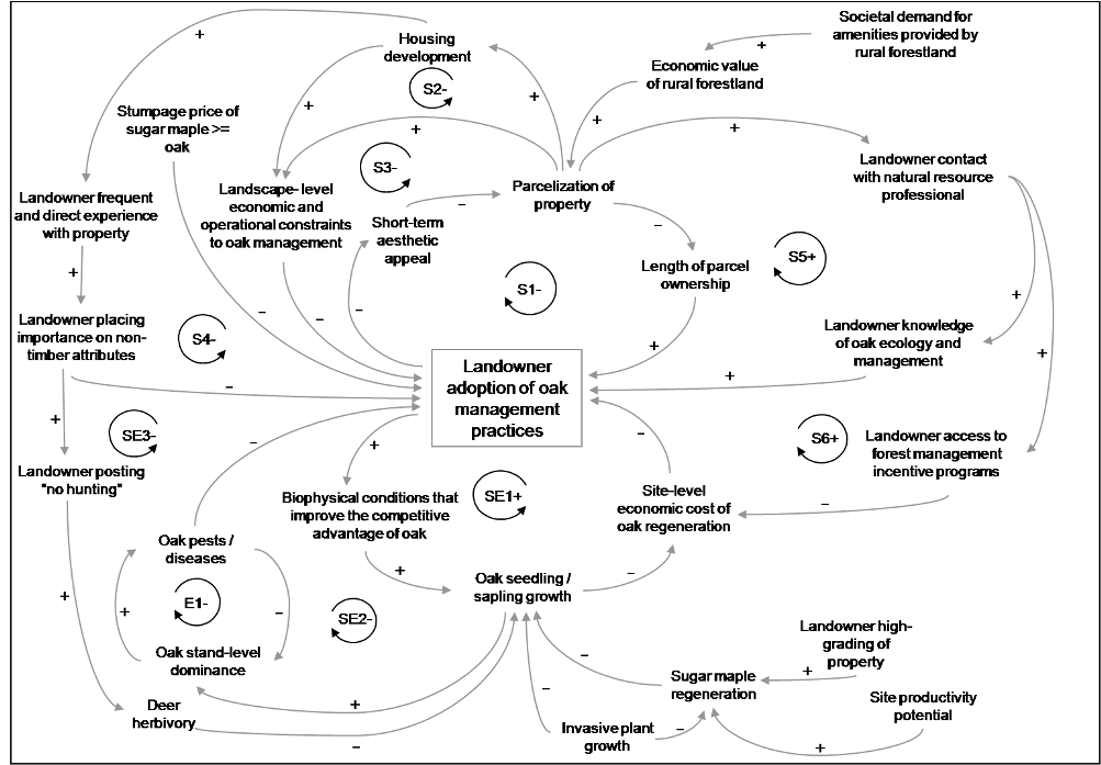 Example of feedback loops during a decision making process.