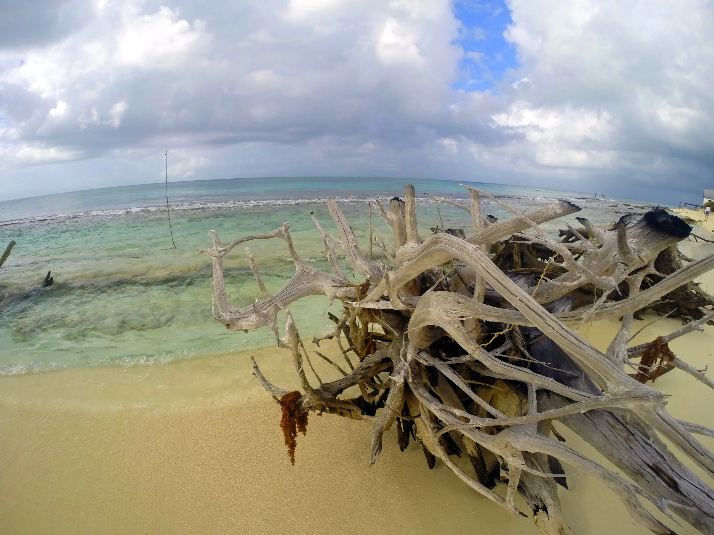 GOPR0283.JPG