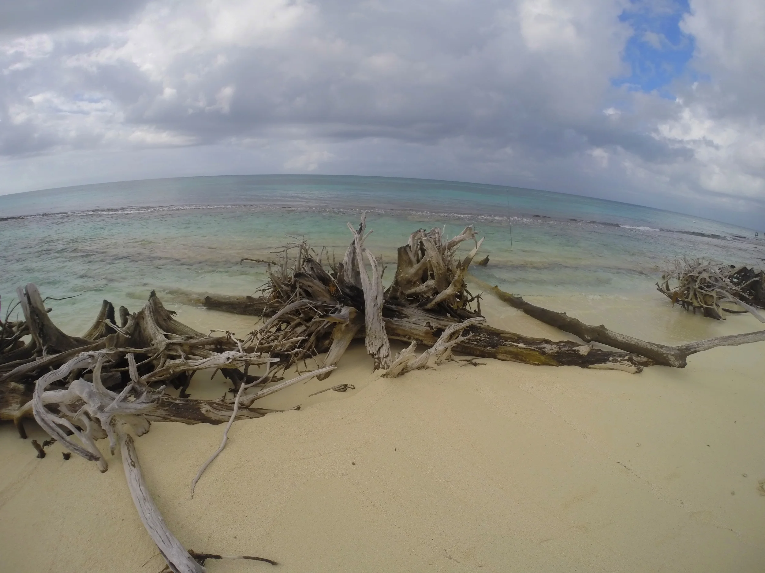 GOPR0278.JPG