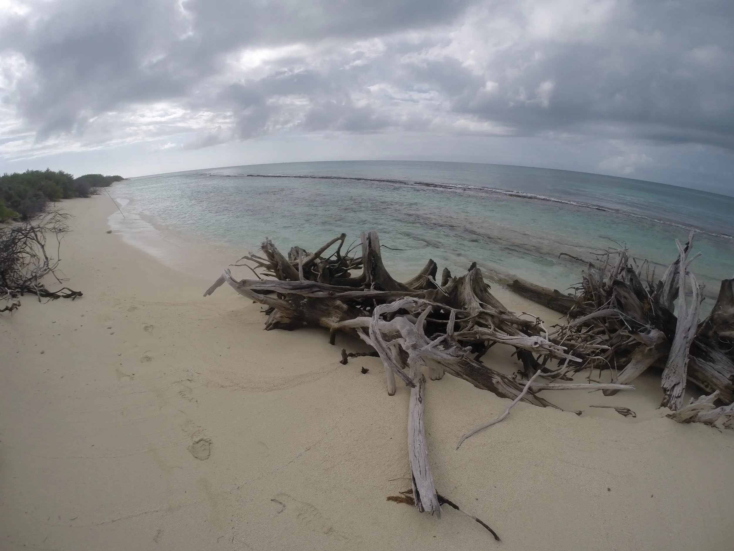 GOPR0279.JPG
