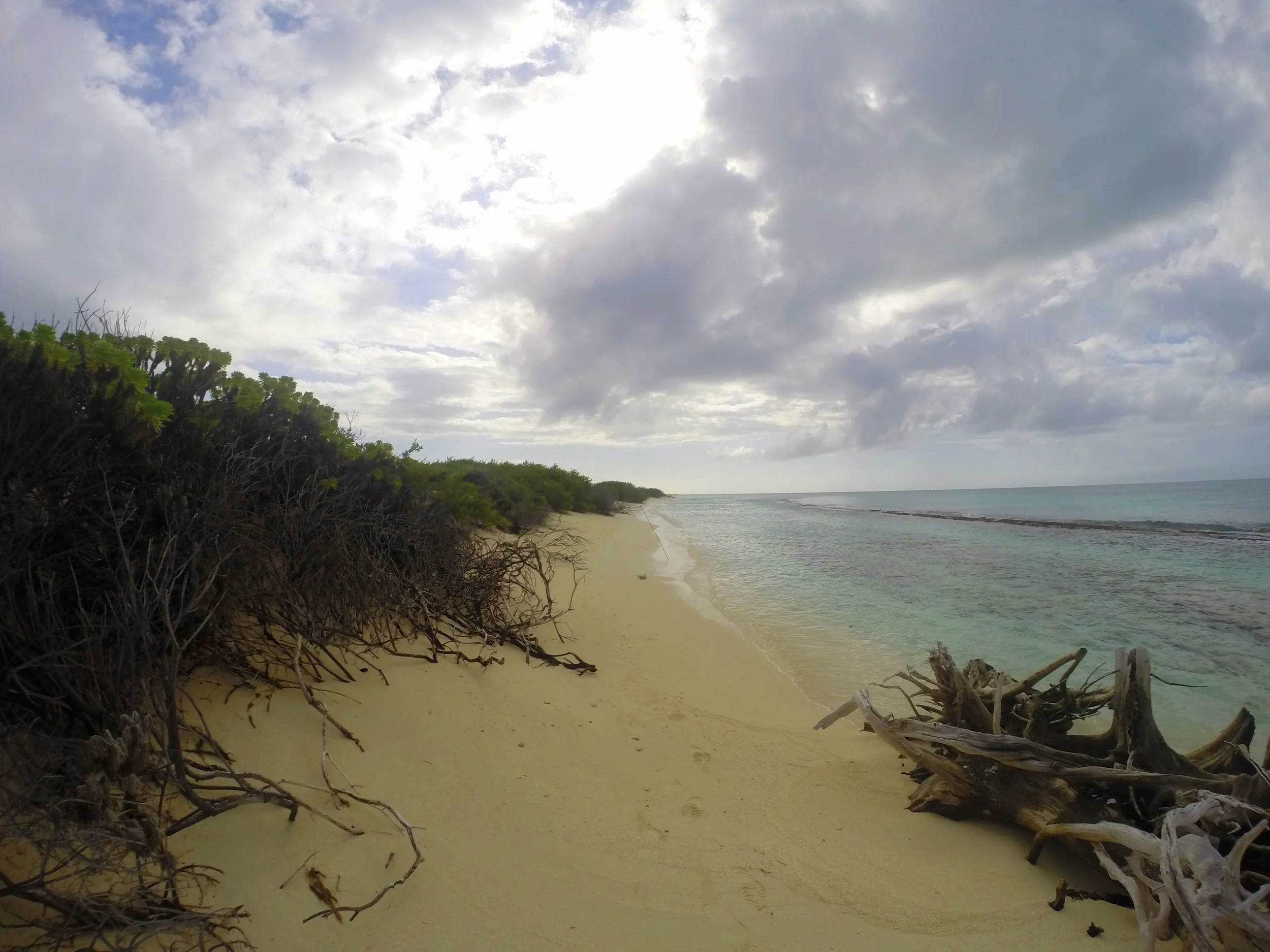 GOPR0280.JPG